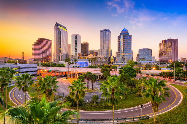 10 things to do near USF downtown tampa skyline at sunset