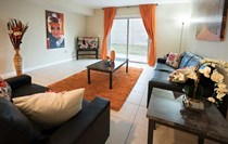 Paradise Palm- Living Room.