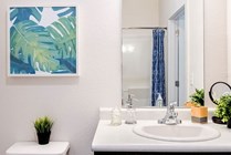 Bathroom-02-Halo-46-Tampa-12