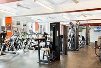 Fitness-Center-01-Halo-46-Tampa-12