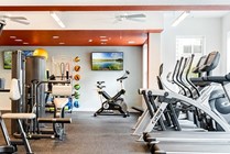 Fitness-Center-02-Halo-46-Tampa-12