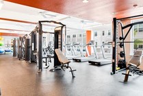 Fitness-Center-03-Halo-46-Tampa-12