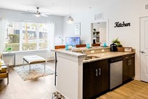 Living-Room-01-Halo-46-Tampa-12