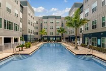 Swimming-Pool-02-Halo-46-Tampa-12