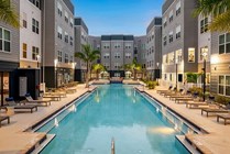 Swimming-Pool-03-Halo-46-Tampa-12