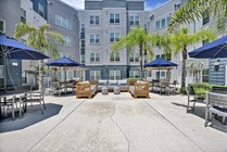 135-Halo46 - Amenities - Pool & Courtyard (18)