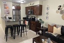 Kitchen and living room interior