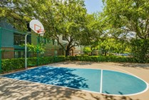 Half basketball court