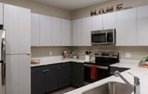 Photo of The Standard at Tampa Apartments