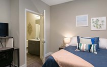 Photo of The Standard at Tampa Apartments