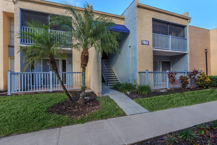 Seastone Apartments in Temple Terrace, FL ApartmentsForBulls