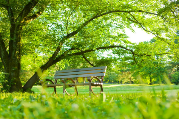 park bench