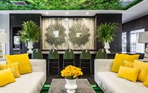 Photo of The Ivy
