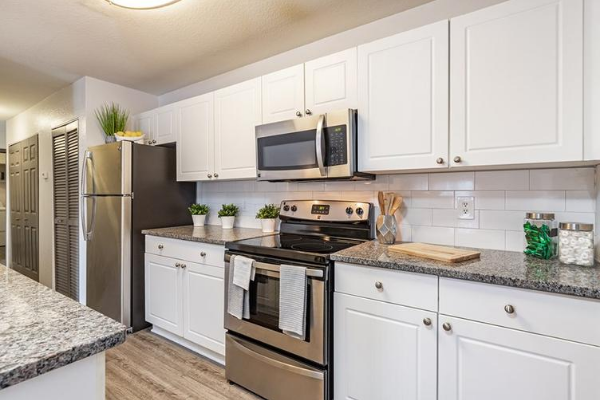 USF Apartment Kitchen for Groceries