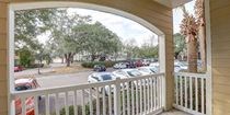 Cat-Friendly Apartments Near USF
