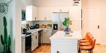 5 Bedrooms near USF