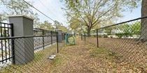 Dog-Friendly Apartments near USF